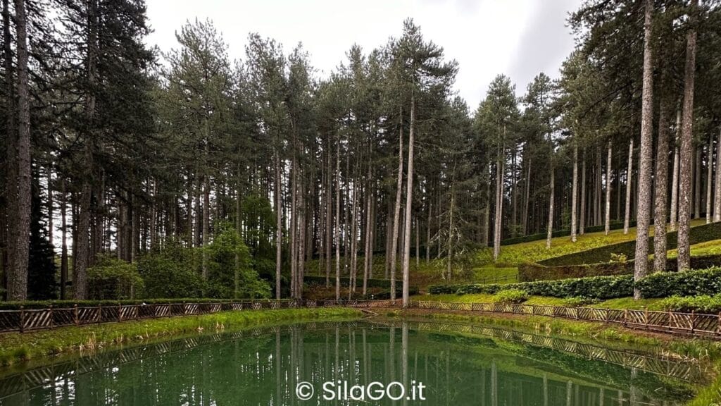 SilaGO - Laghetto nel Parco Nazionale della Sila