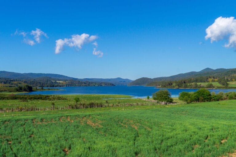 Lago in Sila circondato da verdi prati fioriti e cielo azzurro in primavera.