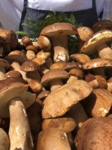 Funghi porcini della Sila freschi - Prodotti tipici della Calabria