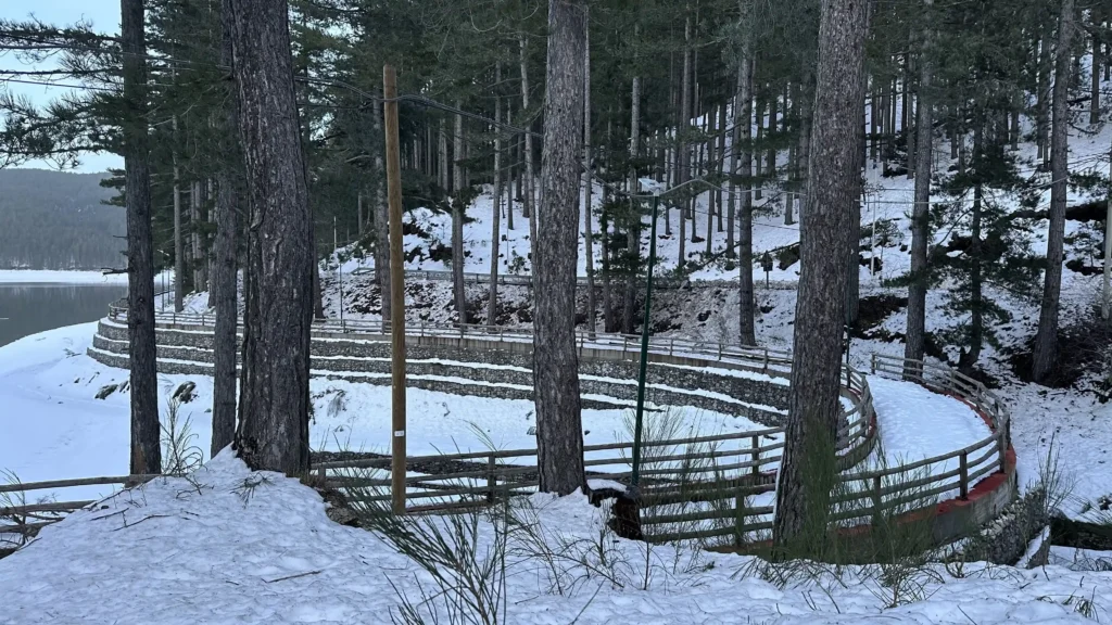 Pista ciclabile innevata tra alberi in Sila
