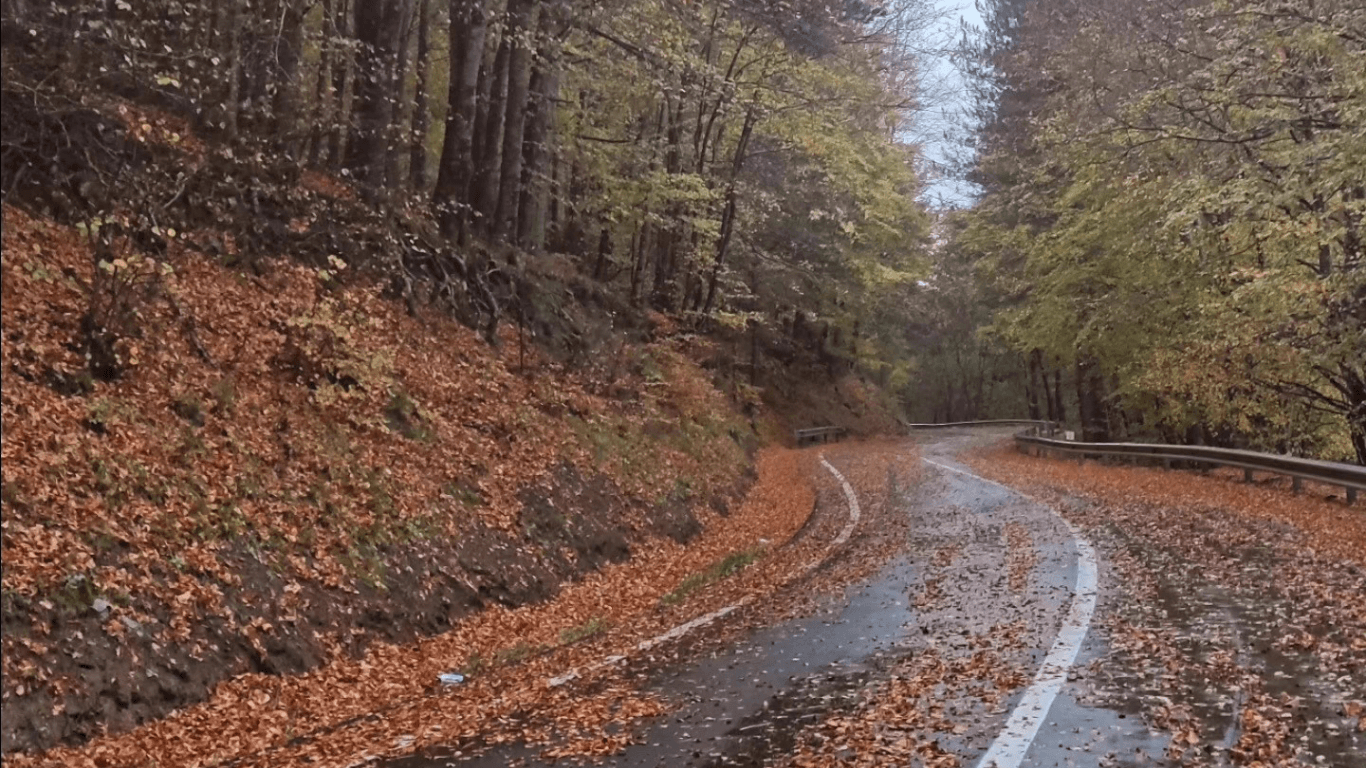 SilaGO - Strada d'autunno