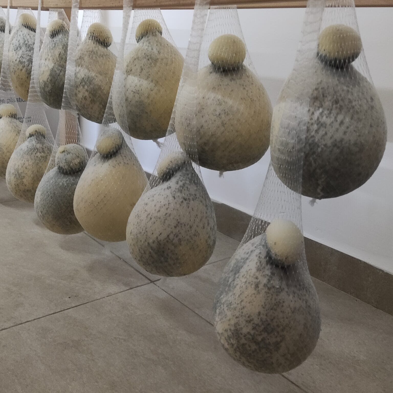 Caciocavallo Silano DOP stagionato - Prodotti tipici della Calabria