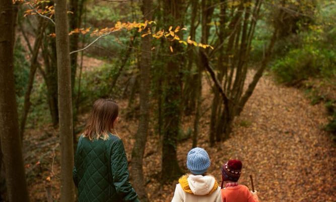 Escursioni con bambini in Sila, i sentieri più semplici per tutta la famiglia tra i boschi della Sila