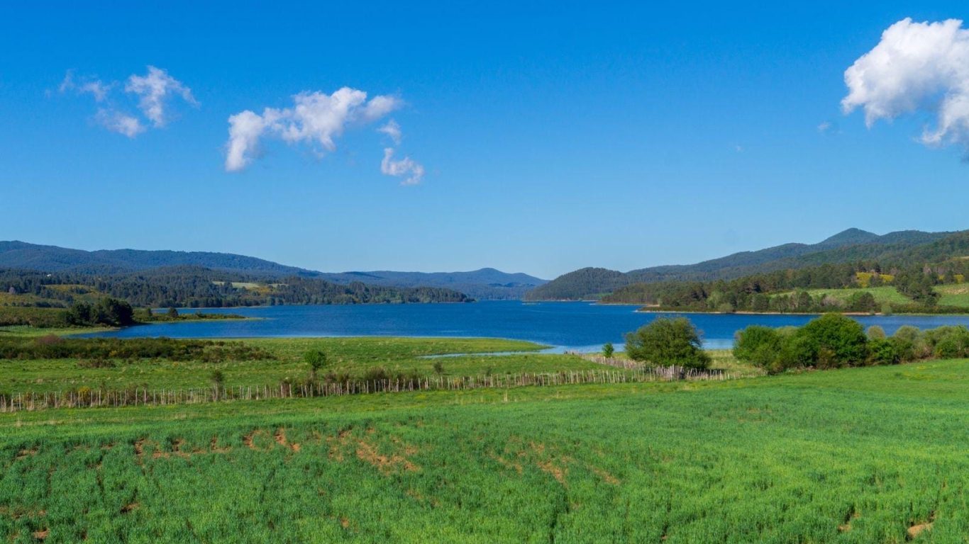 Lago in Sila circondato da verdi prati fioriti e cielo azzurro in primavera.