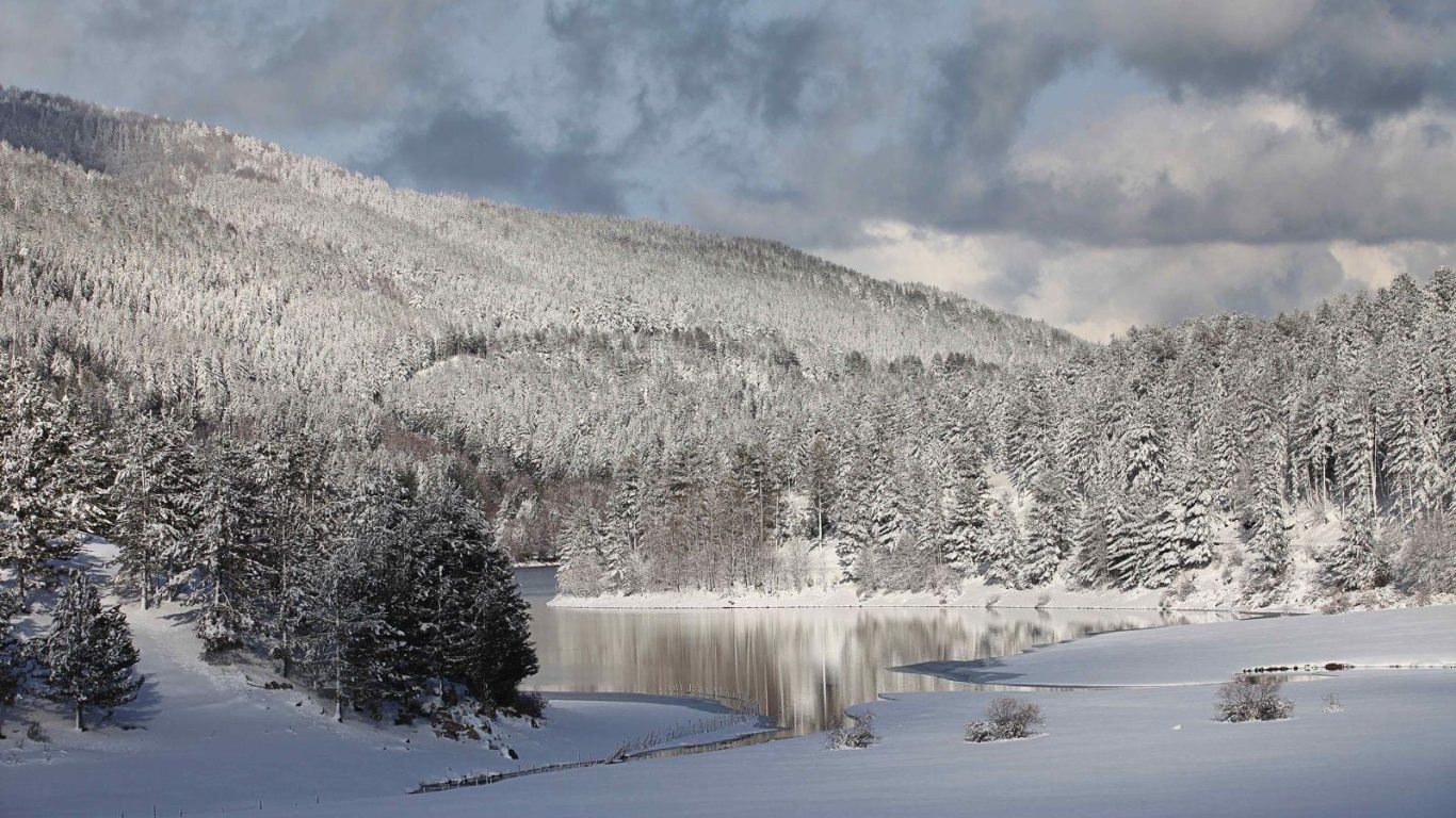 Paesaggio innevato nel bosco della Sila, tipico del meteo Sila in inverno.