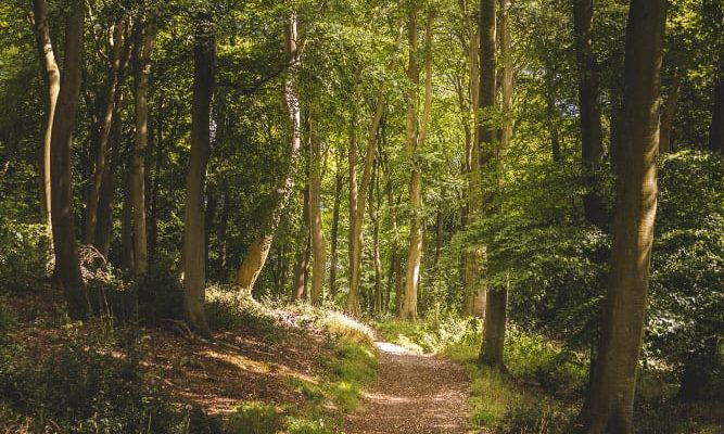 Sentiero facile nella Sila per famiglie con bambini